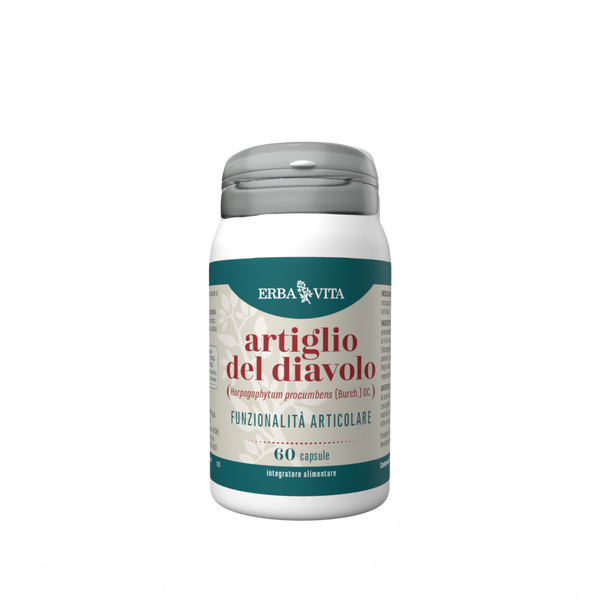 Artiglio del diavolo ( "velna nags") jeb harpagofits