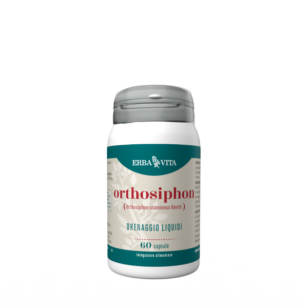 Orthosiphon